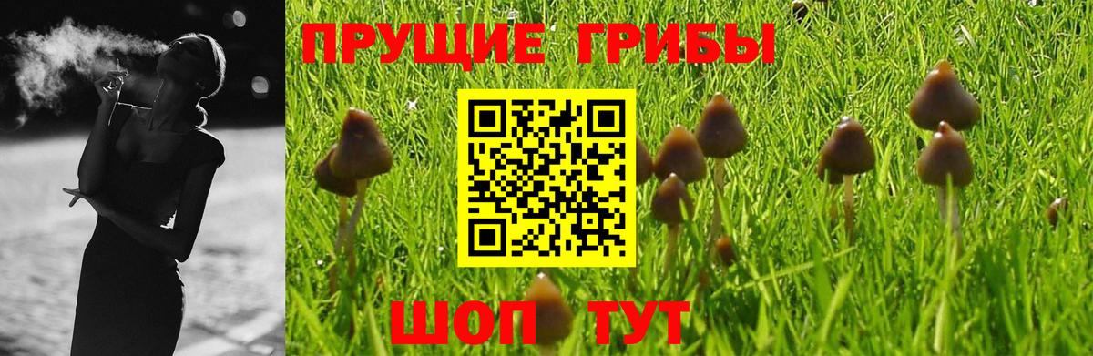 Владикавказ  Галлюциногенные грибы Psilocybine cubensis  Вход с VPN  Псилоцибиновые грибы Magic Shrooms 